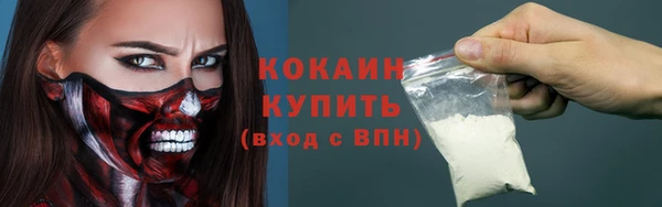 шишки Переславль-Залесский