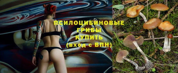 соль курить ск Богородск