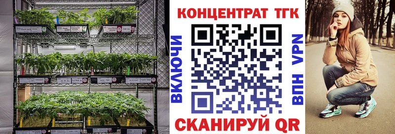 ТГК вейп  сайты даркнета какой сайт  Мостовской 